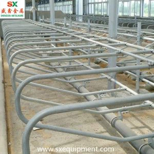 Cattle mahala e sa lefelloeng ho tsoa ho Shengxin fekthering