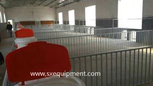 Fora ea mafura a kolobe